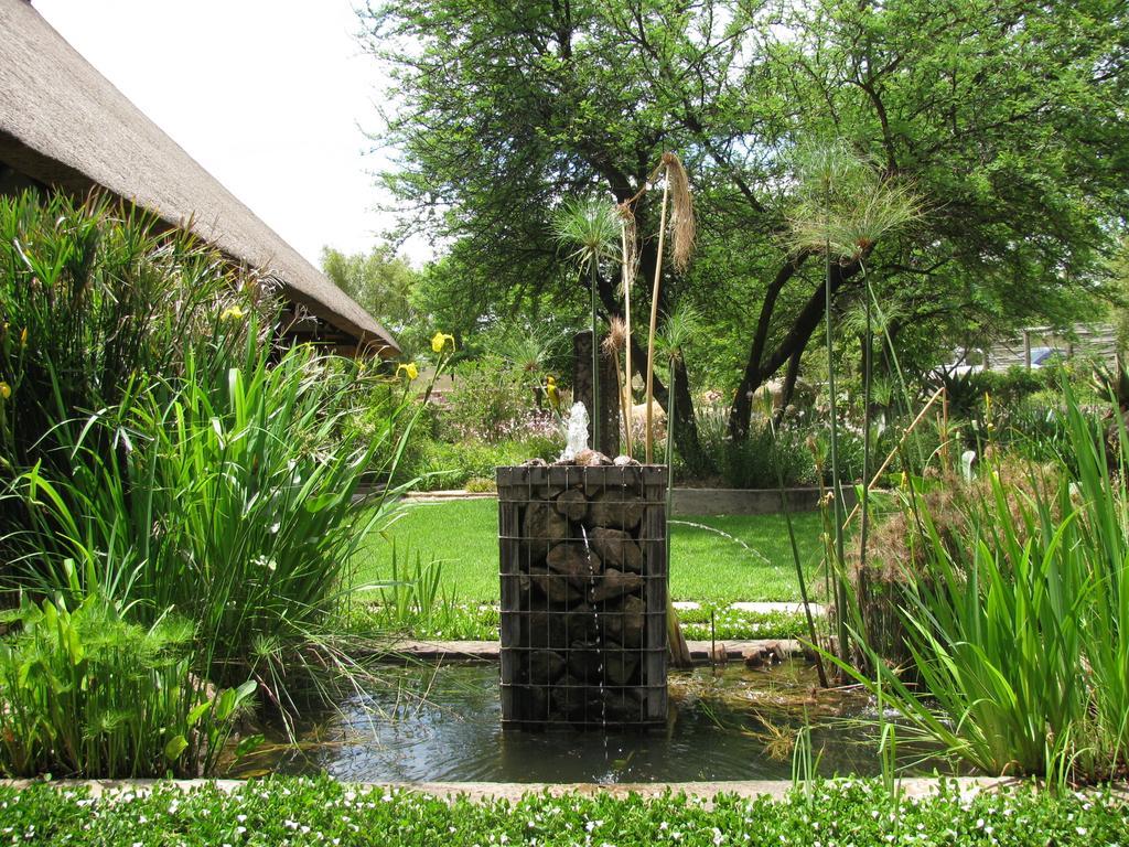Aloe Lane Guest Lodge Kyalami Kültér fotó
