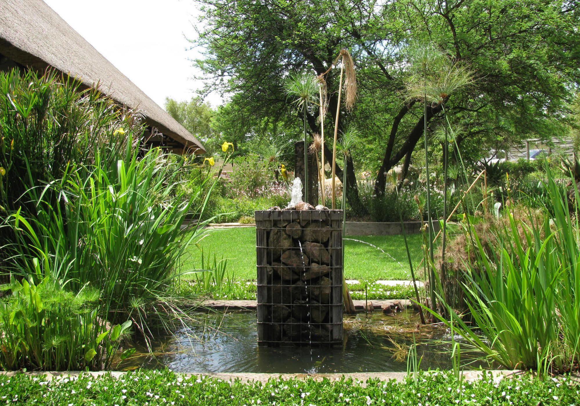 Aloe Lane Guest Lodge Kyalami Kültér fotó
