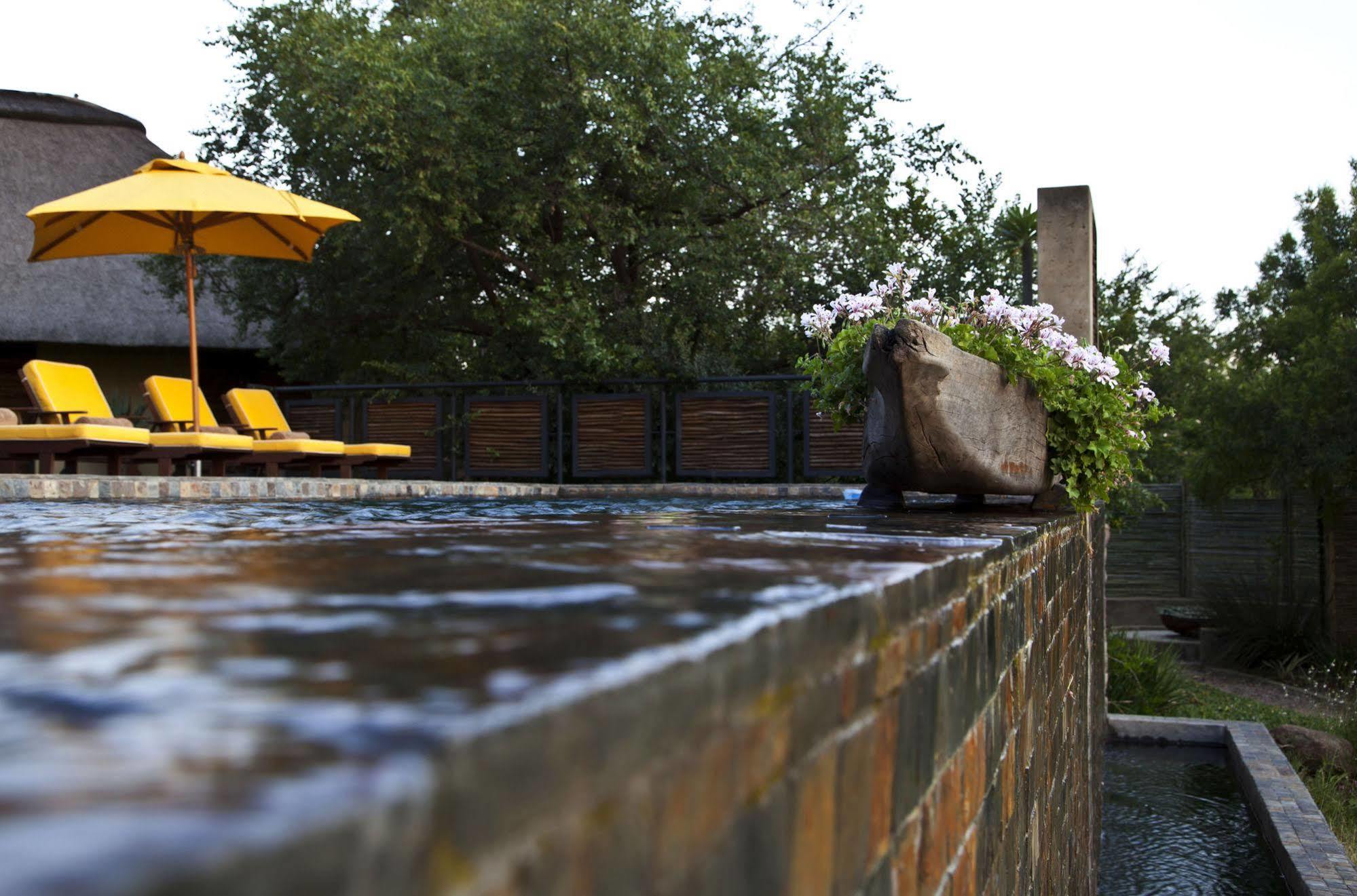 Aloe Lane Guest Lodge Kyalami Kültér fotó