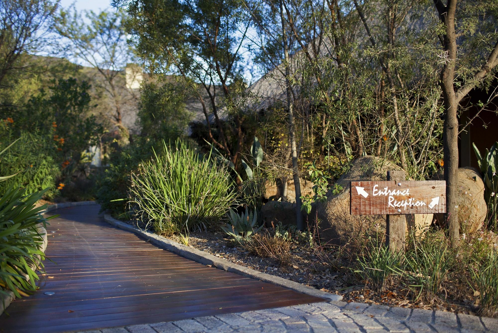 Aloe Lane Guest Lodge Kyalami Kültér fotó